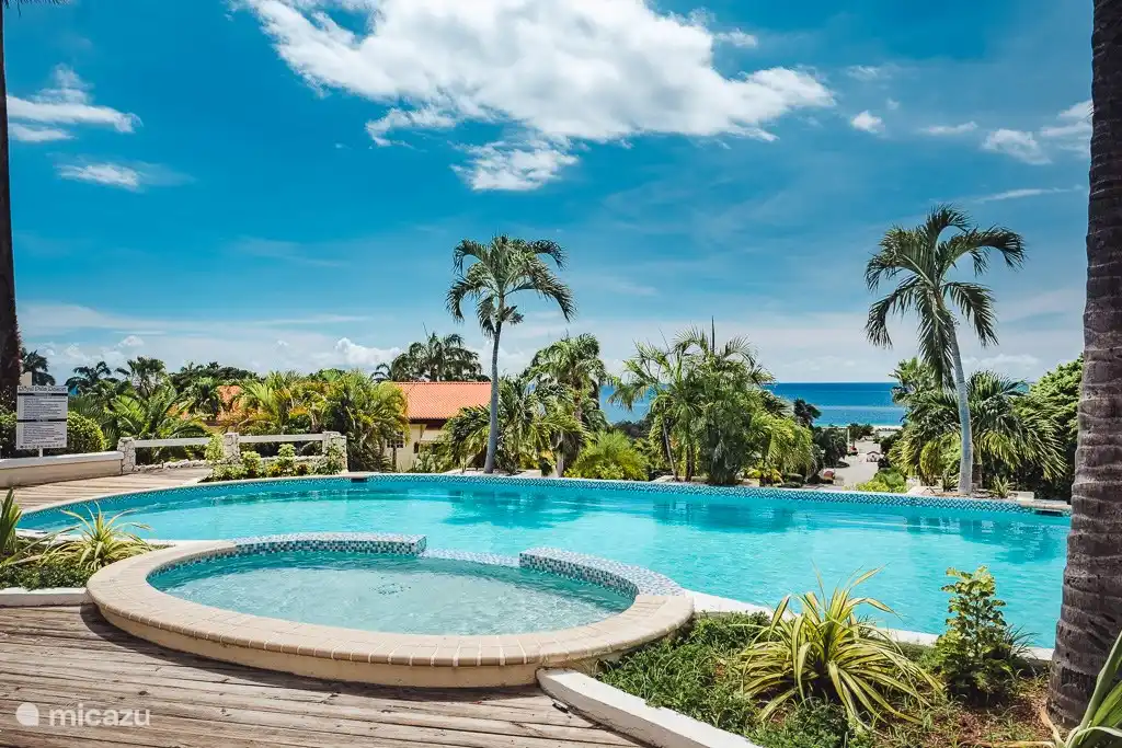 Resort pool, with beautiful views.