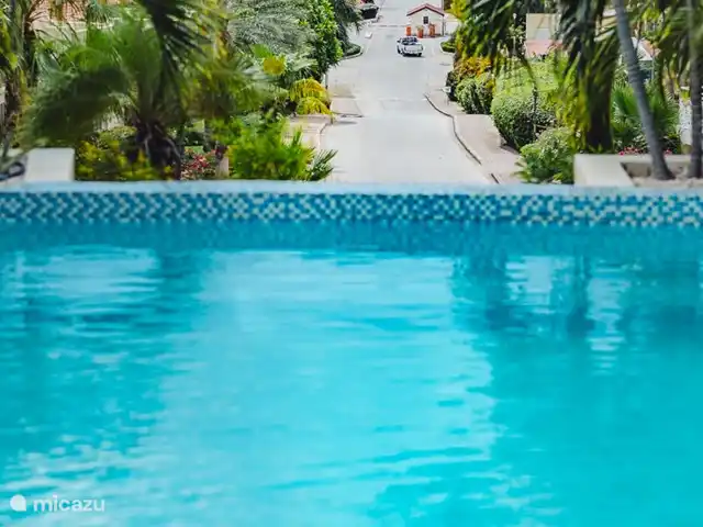 Penthouse met spectaculair uitzicht! huren in Curaçao, Curacao-Midden, Piscadera - penthouse De zee is op loopafstand van het park