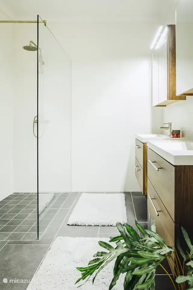 Master bathroom with walk-in shower.