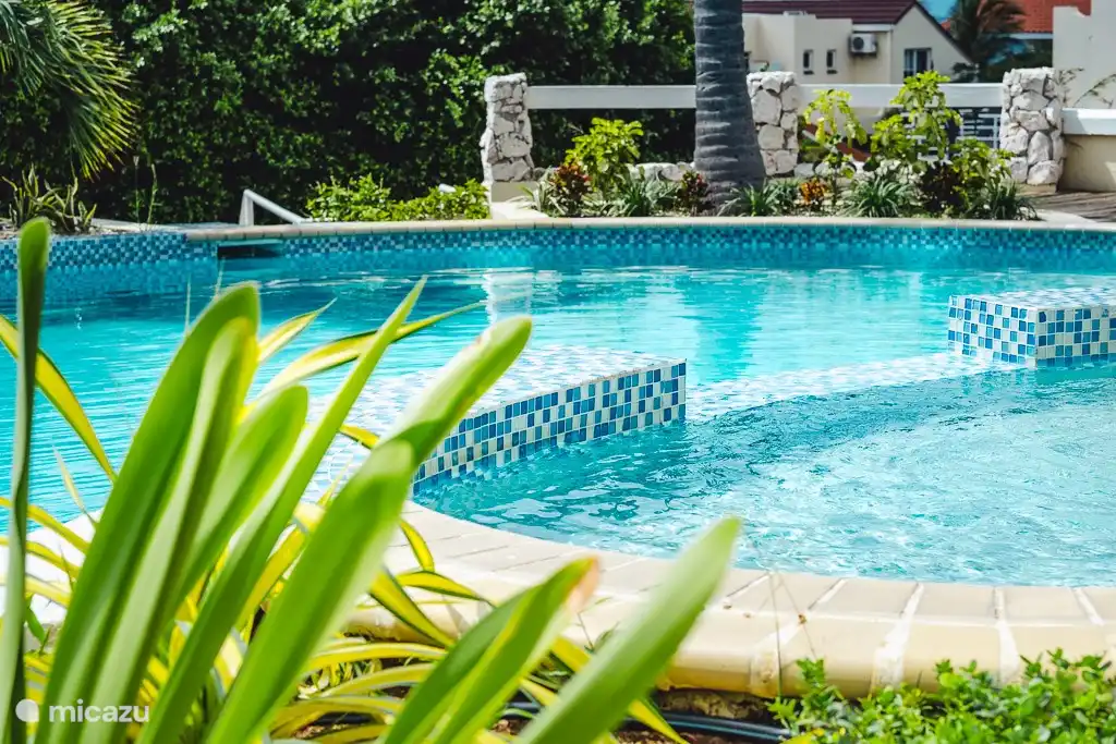 The swimming pool is located in the park