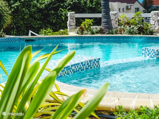 Penthouse met spectaculair uitzicht! huren in Curaçao, Curacao-Midden, Piscadera - penthouse Het zwembad bevind zich op het park