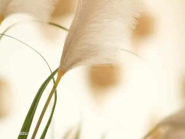 Penthouse met spectaculair uitzicht! huren in Curaçao, Curacao-Midden, Piscadera - penthouse Gras