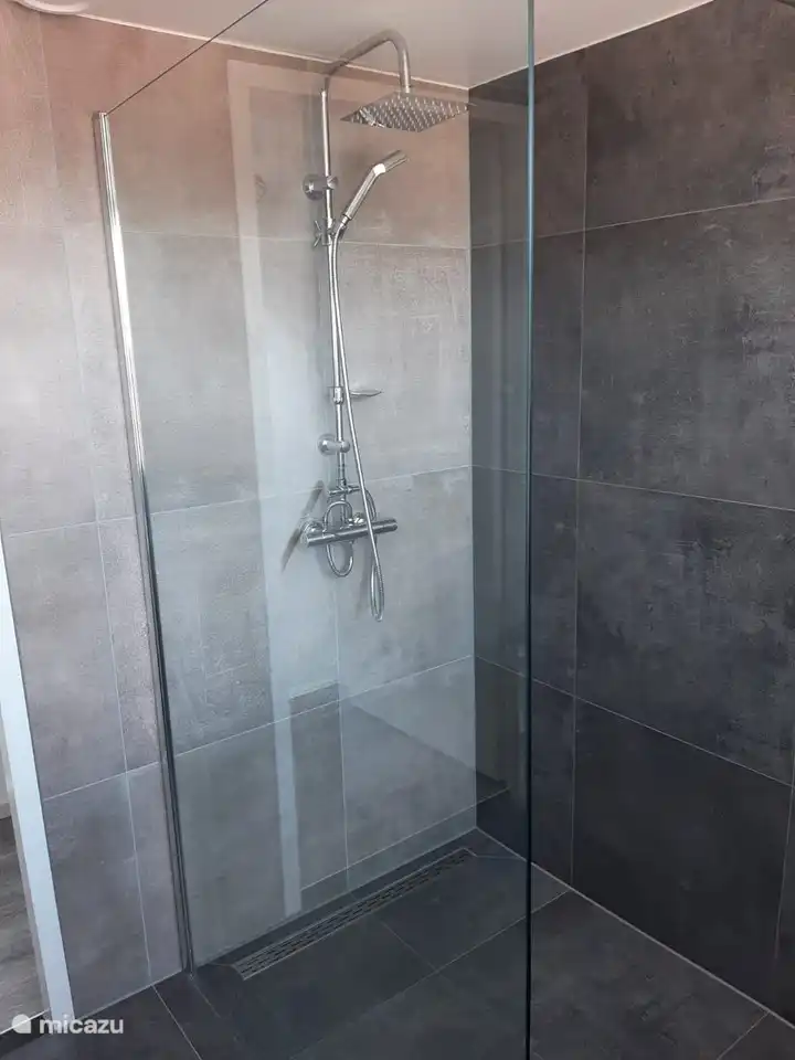 Dusche mit Regen- und Handbrause, Doppelwaschbecken und großem Spiegel.