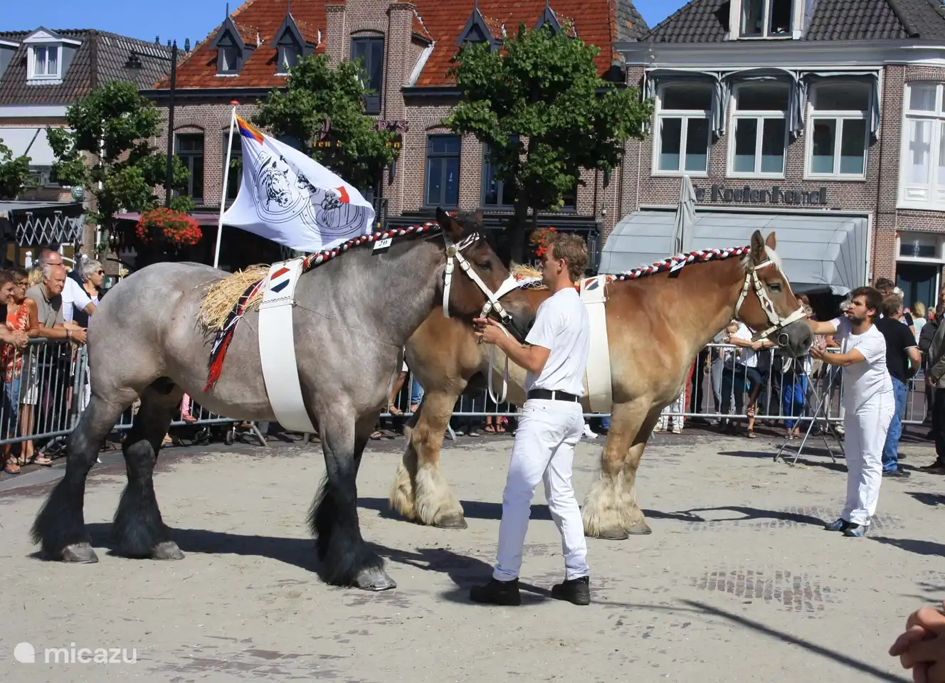 Westfriesischer Markt in Schagen während der Sommermonate am Donnerstagmorgen mit einer großen Parade mit Pferden und Kutschen. Es lohnt sich, dies zu überprüfen.