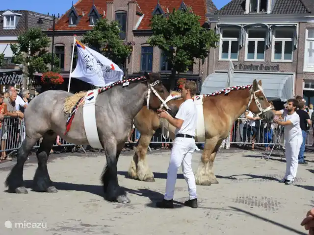 Location de Vacances Pays-Bas, Hollande du Nord, Saint Martin, maison de vacances - Froietoid Marché de la Frise occidentale à Schagen pendant les mois d'été le jeudi matin avec un grand défilé avec des chevaux et des calèches. Cela vaut la peine de vérifier cela.