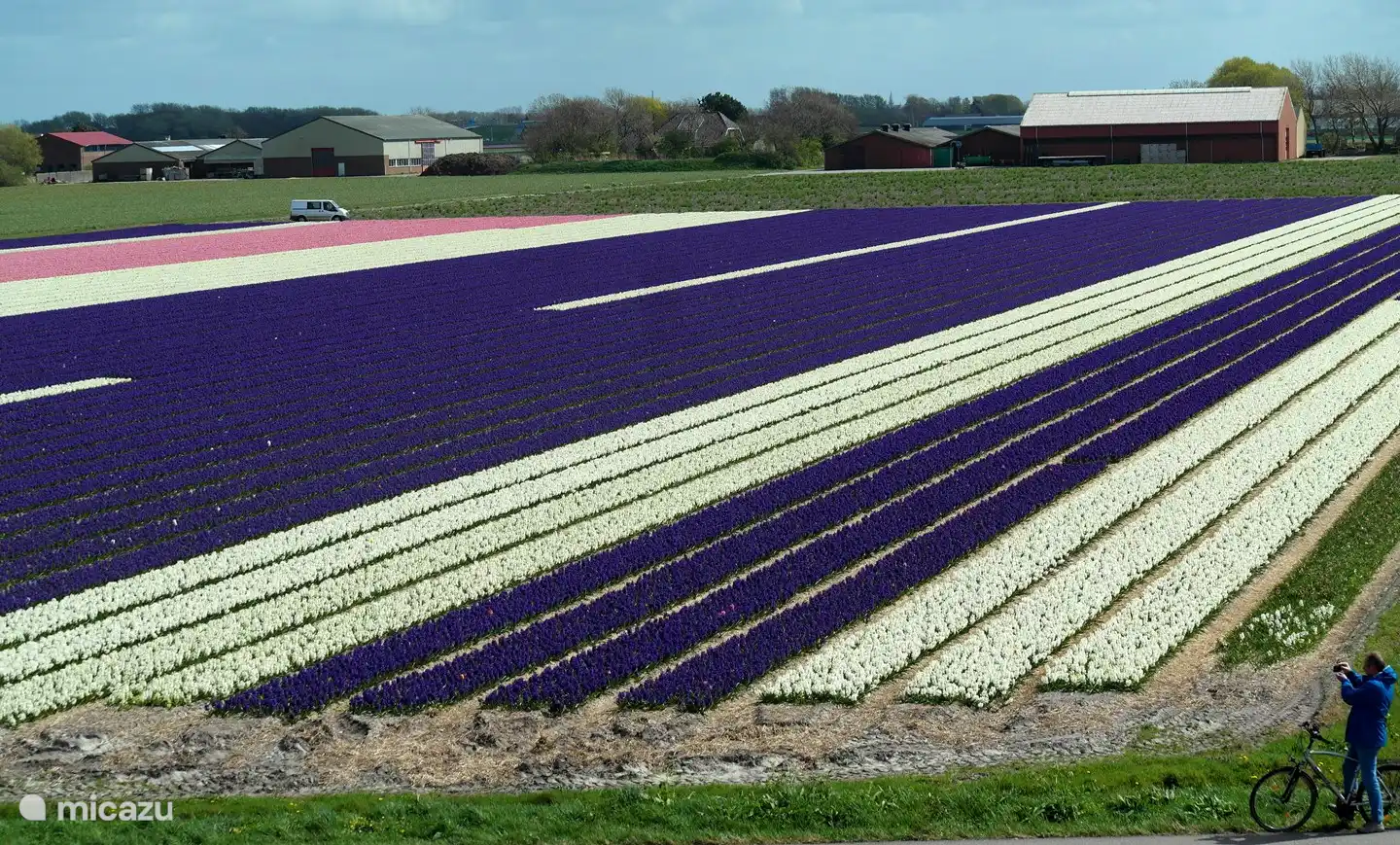 Im März/April/Mai können Sie die wunderschönen Farben der vielen Blumenzwiebeln in der Umgebung sehen.