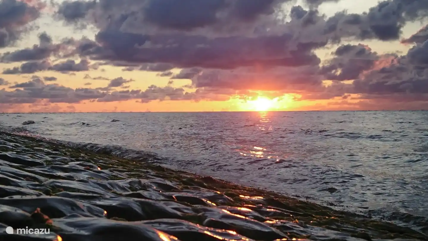 Die schönsten Sonnenuntergänge der Niederlande finden Sie am Strand von Petten. Jedes Jahr kommen Touristen hierher, um die schönsten Fotos zu machen.