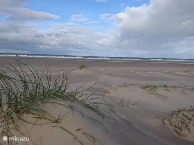 Location de Vacances Pays-Bas, Hollande du Nord, Saint Martin, maison de vacances - Froietoid De longues plages où vous pourrez vous allonger tranquillement un jour d'été ou faire une belle promenade.