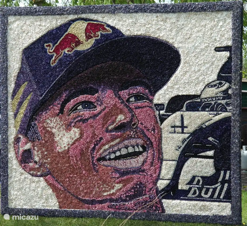 Blumentage in Breezand. Hier werden die schönsten Gemälde und Kunstgegenstände mit Hyazinthenköpfen hergestellt, die in den Vorgärten ausgestellt sind. Die Veranstaltung dauert 5 Tage und normalerweise Ende April / Anfang Mai.