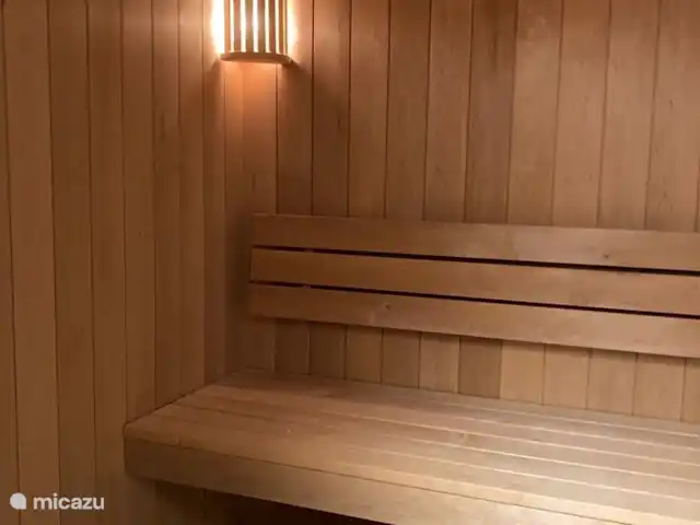 Chalet Chardon huren in Zwitserland, Wallis, Mayens de Chamoson - chalet Sauna