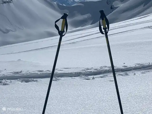 Chalet Chardon huren in Zwitserland, Wallis, Mayens de Chamoson - chalet Mont Blanc vanaf Ovronnaz ski en wandel gebied