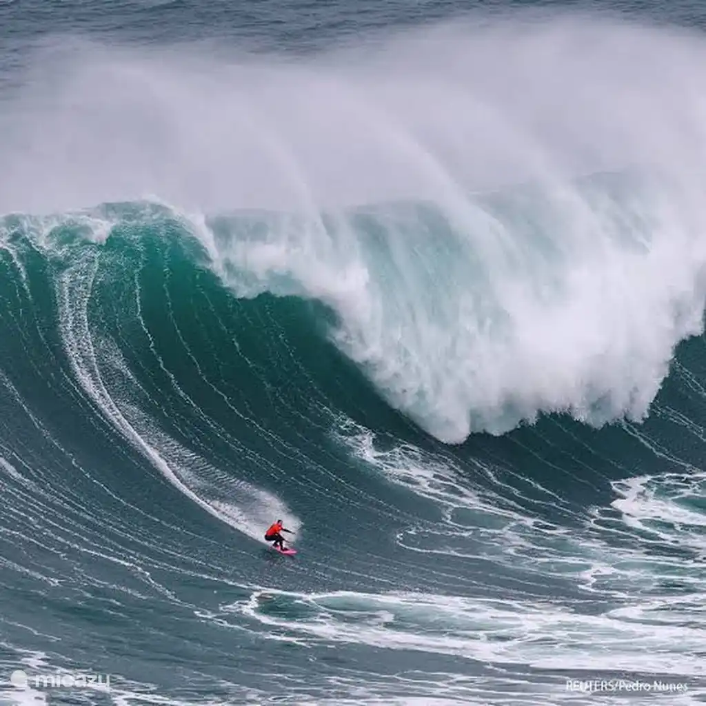 surf nazare