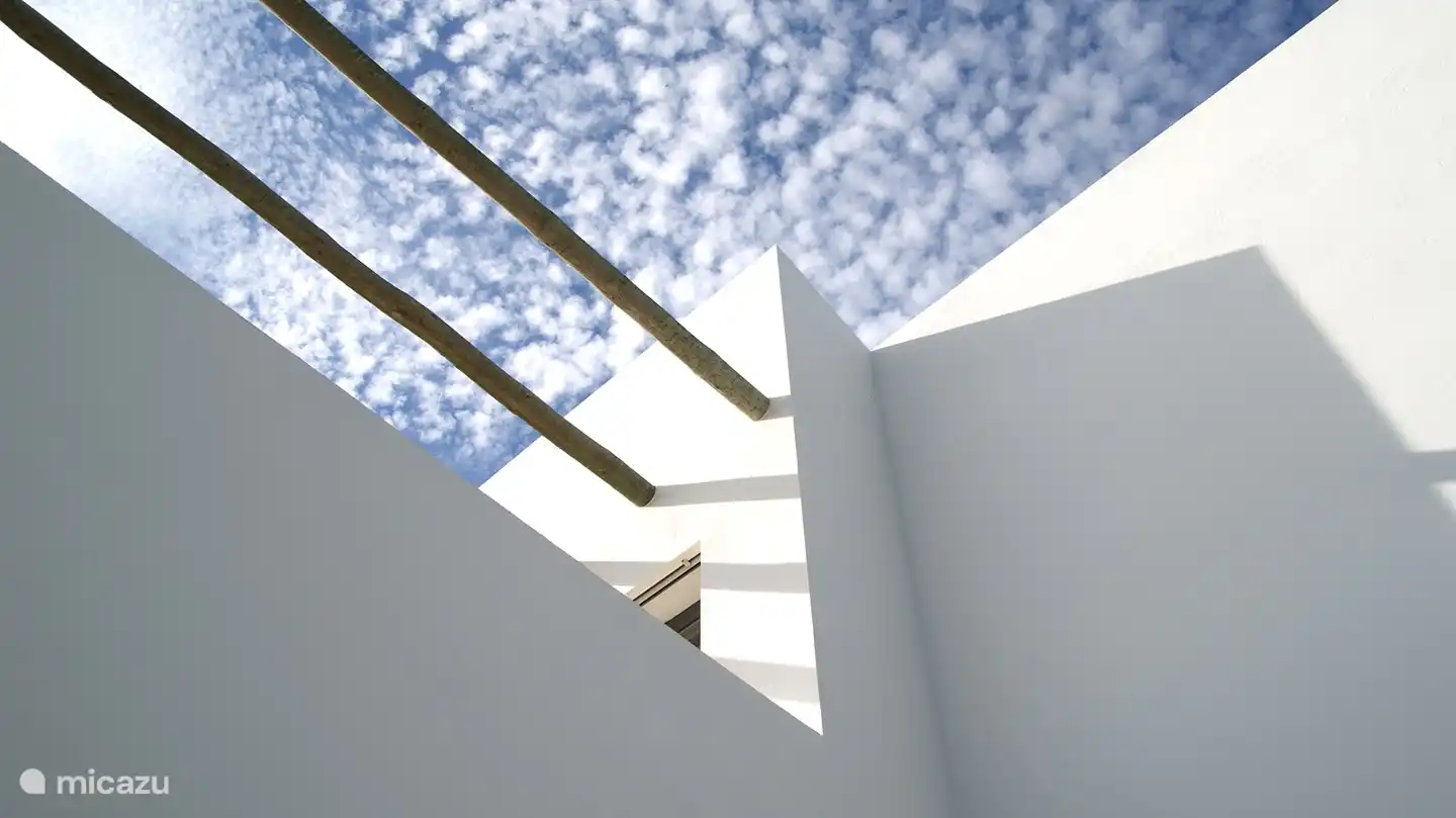 Ein schönes Foto der Balken.