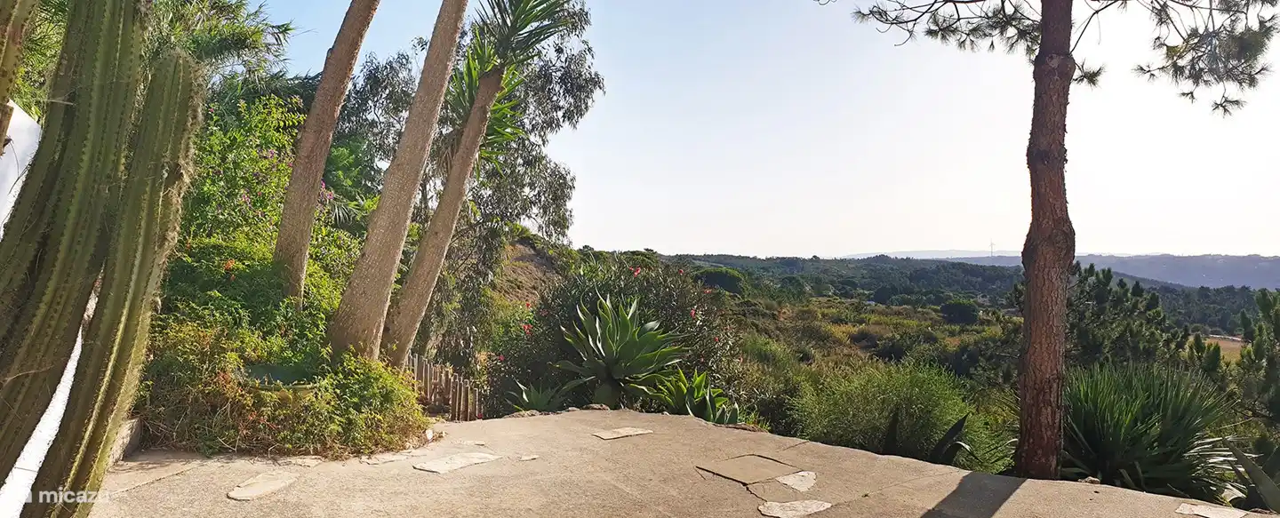 Der Garten mit Aussicht.
