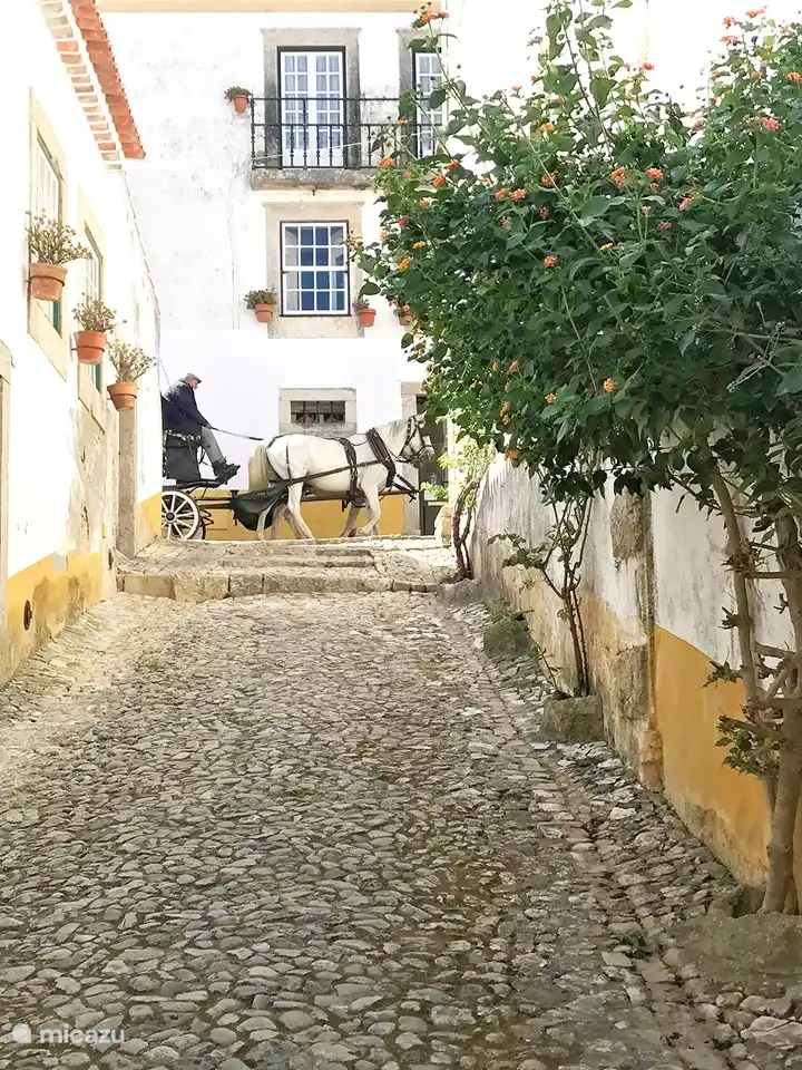 Obidos, die Stadt der Königin, Unesco-Erbe.
