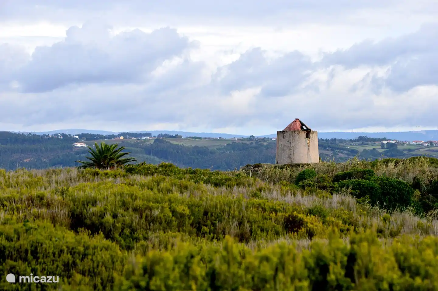 Die Küstenregion in der Nähe unseres Hauses.