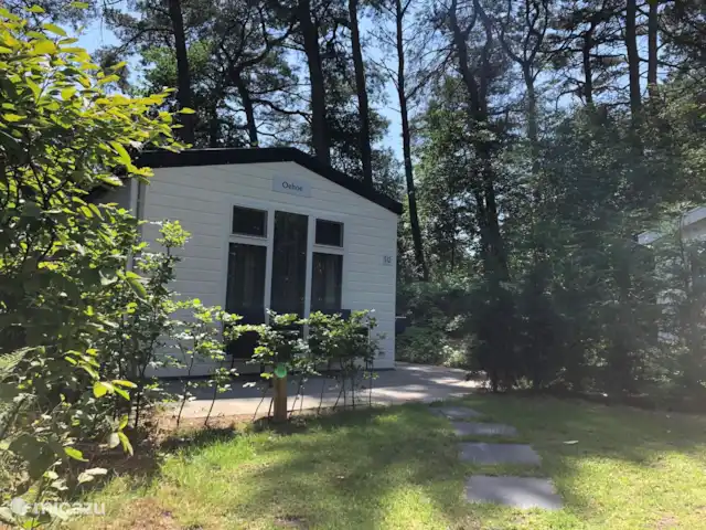 Chalet Oehoe | Pays-Bas, Drenthe, Diever - chalet Chalet Oehoe | Pays-Bas, Drenthe, Diever - chalet