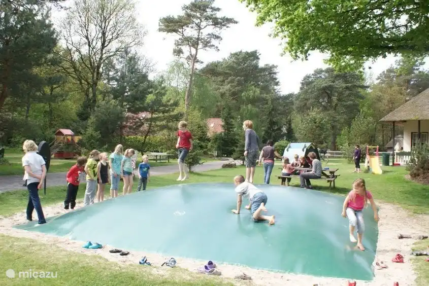 Aire de jeux extérieure avec trampoline aérien.