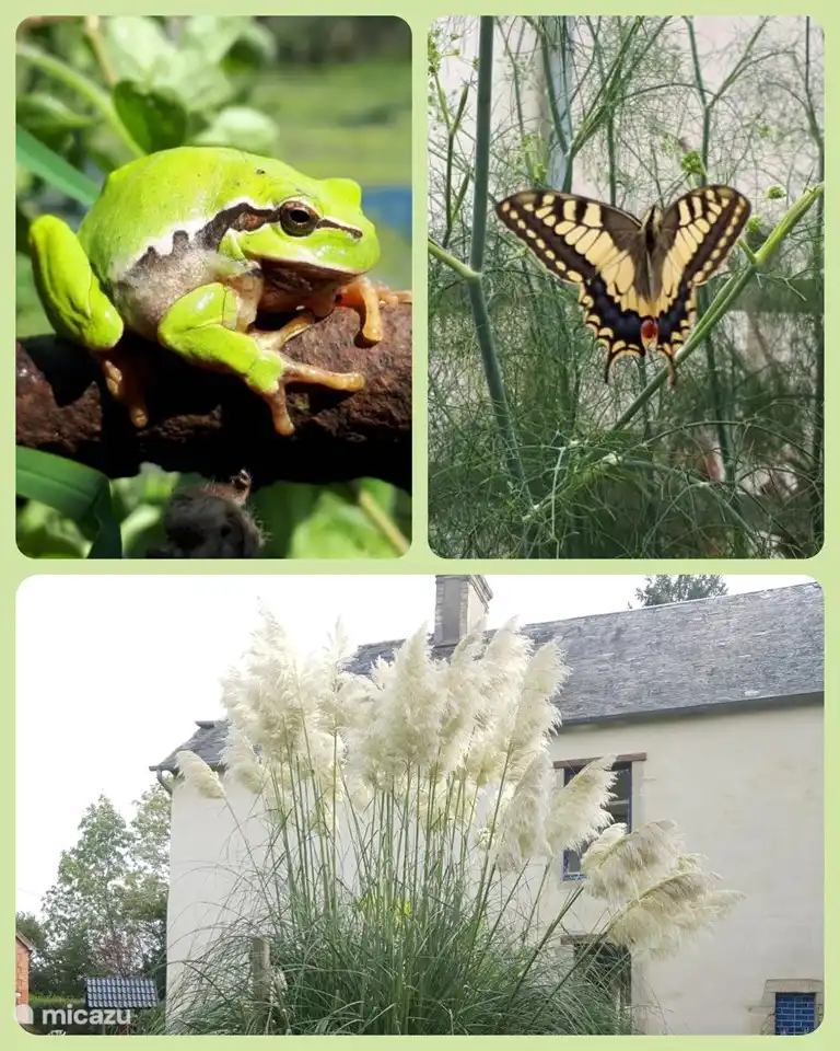 fauna en flora in de tuin