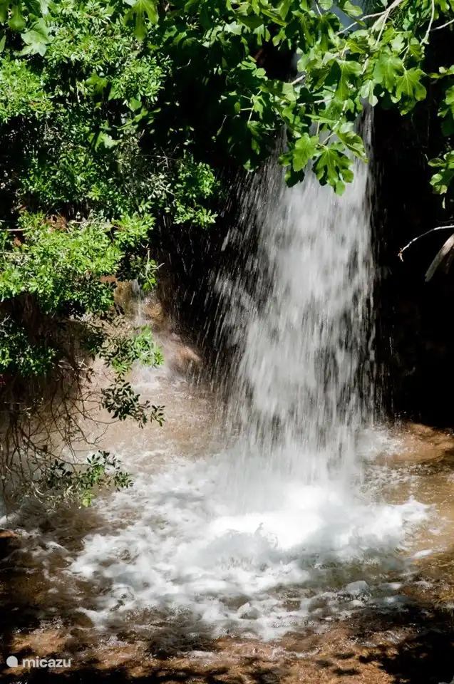 Ein besonderes Bild ist der 6 Meter hohe Wasserfall auf unserem eigenen Grundstück inmitten eines grünen Paradieses