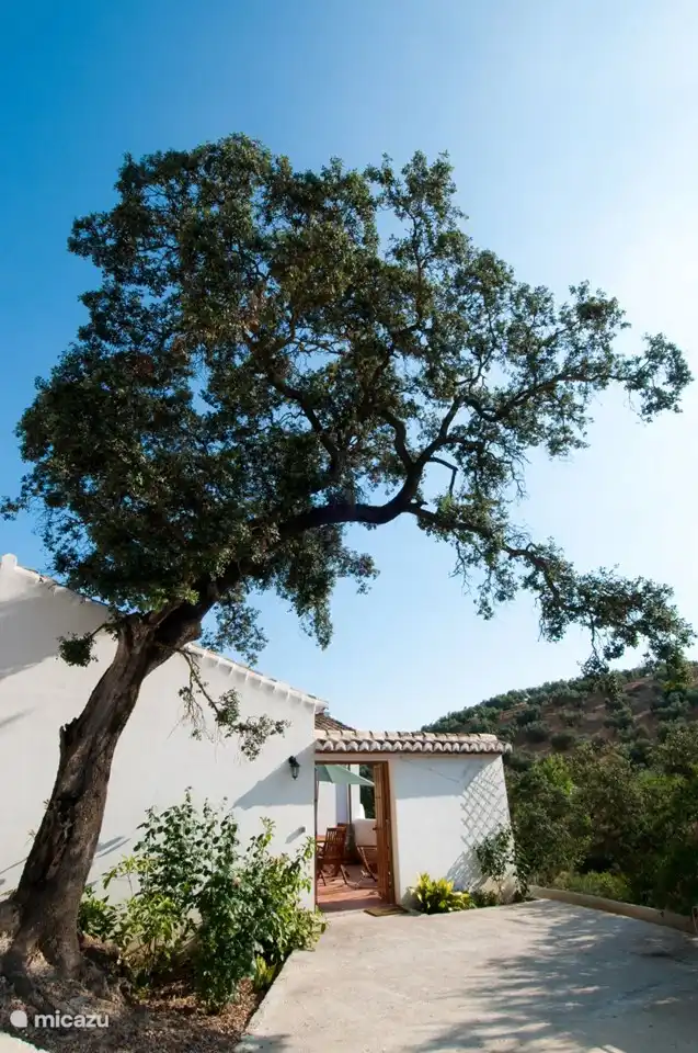 La Palomera has its own wide entrance to the fully sheltered private terrace