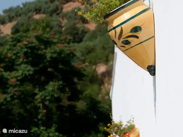 La Panadería, Molino La Ratonera en España, Andalucía, Zagra - apartamento Ver a través de uno de los muchos olivares que caracterizan el paisaje.