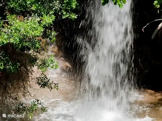 La Panadería, Molino La Ratonera en España, Andalucía, Zagra - apartamento Una foto especial, la cascada de 6 metros de altura en nuestra propiedad en medio de un paraíso verde