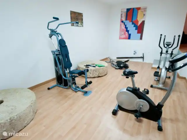 La Panadería, Molino La Ratonera en España, Andalucía, Zagra - apartamento El gimnasio para nuestros huéspedes en el molino inferior.