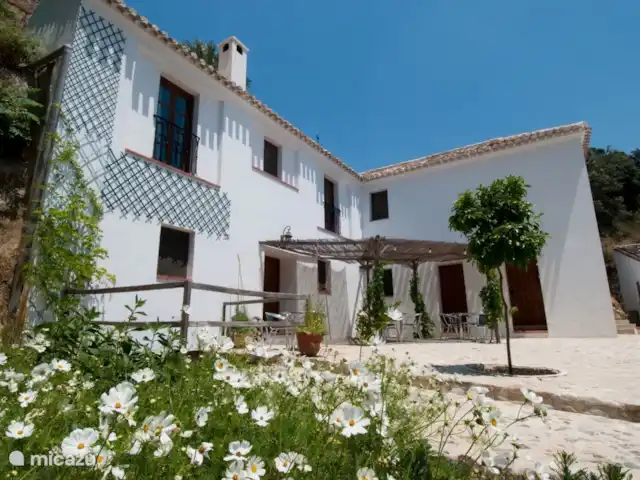 La Panadería, Molino La Ratonera en España, Andalucía, Zagra - apartamento Frente al bar de invitados en el molino superior hay una terraza donde se puede disfrutar de una copa