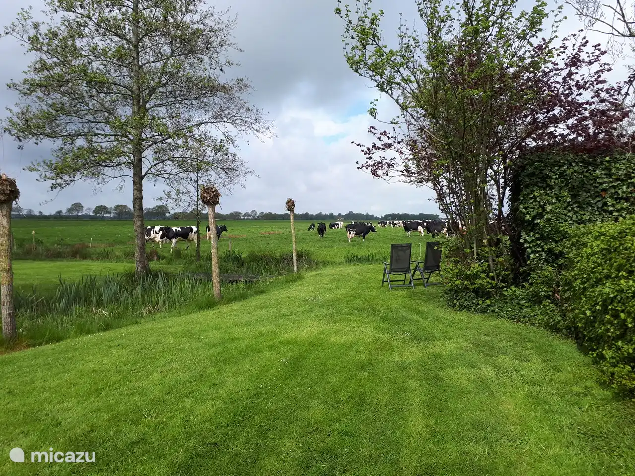 Genießen mit Blick auf unsere Kühe