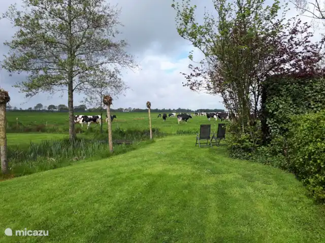 boerderij huren in Nederland, Friesland, Gersloot – Boerengeluk Genieten met zicht op onze koeien
