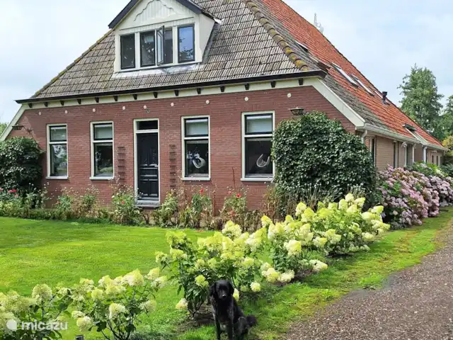 boerderij huren in Nederland, Friesland, Gersloot – Boerengeluk Gastenverblijf