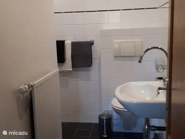 boerderij huren in Nederland, Friesland, Gersloot – Boerengeluk Badkamer met douche en toilet