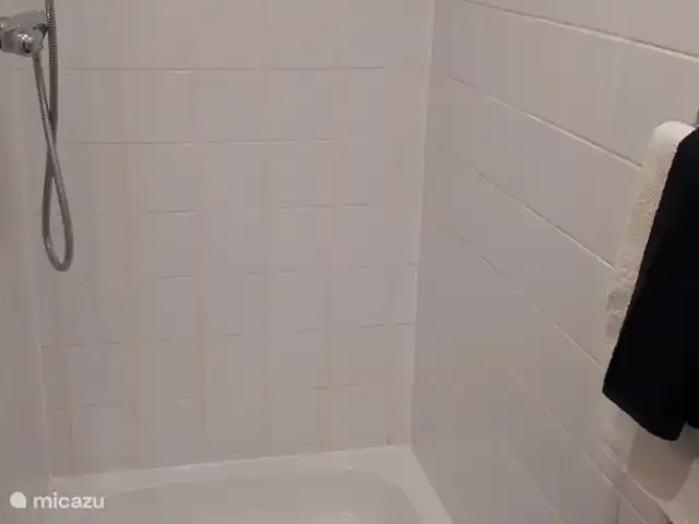 boerderij huren in Nederland, Friesland, Gersloot – Boerengeluk Douche