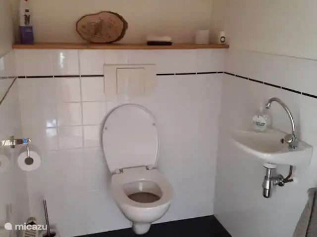 boerderij huren in Nederland, Friesland, Gersloot – Boerengeluk Toilet, beganegrond