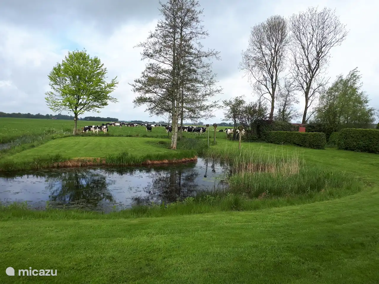 Blick auf die Wiesen