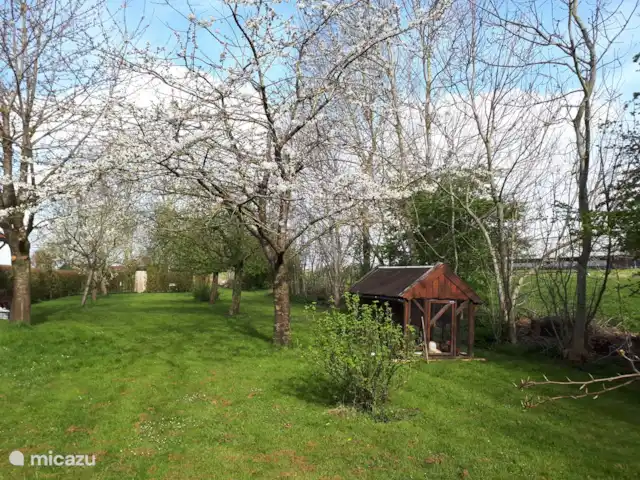 boerderij huren in Nederland, Friesland, Gersloot – Boerengeluk Kippen