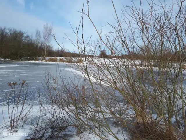 boerderij huren in Nederland, Friesland, Gersloot – Boerengeluk Natuurgebied De Deelen