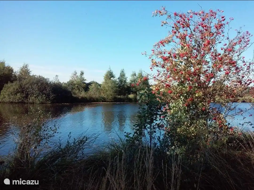 Schöner Spaziergang im Naturschutzgebiet De Deelen