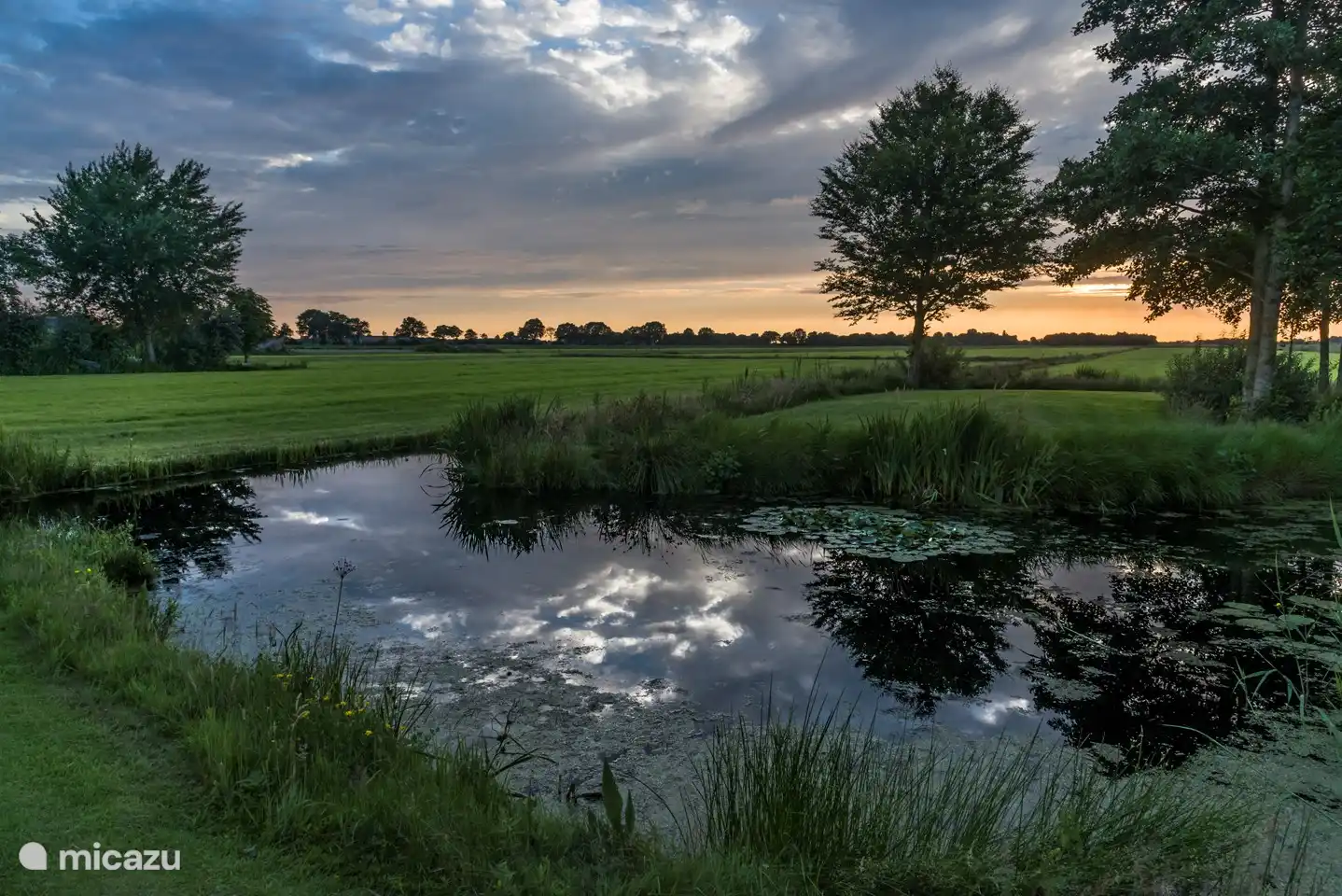 Blick auf die Rückseite des Gartens