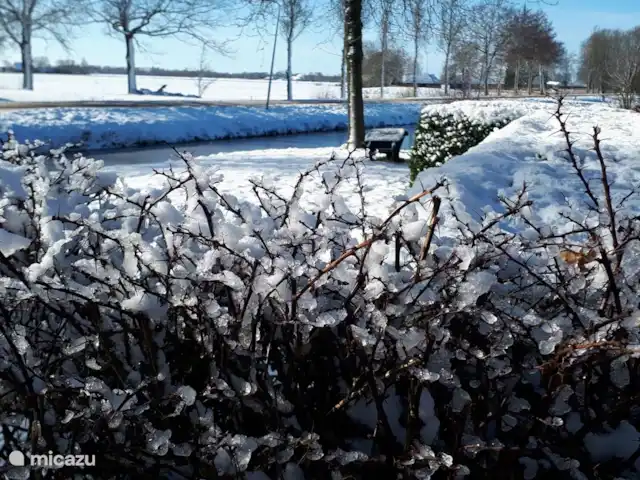 boerderij huren in Nederland, Friesland, Gersloot – Boerengeluk Ook in de winter een prachtige plek