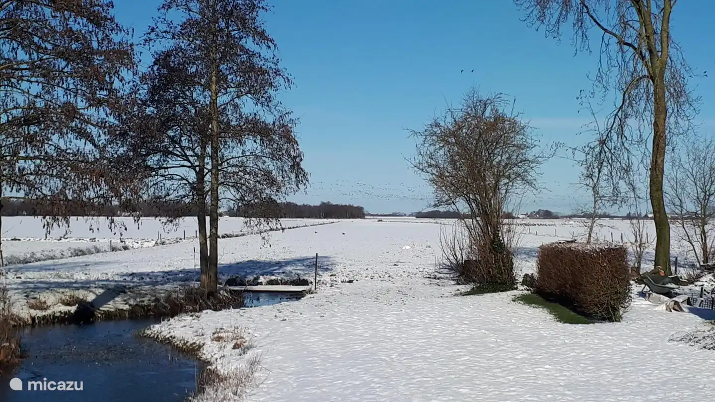 Winterlandschaft