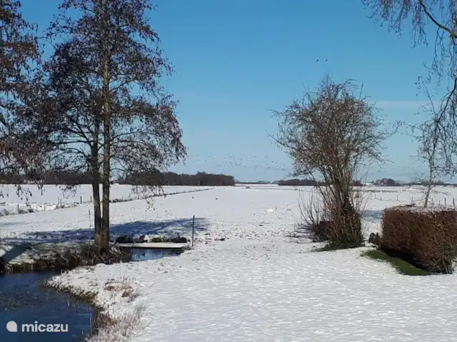 boerderij huren in Nederland, Friesland, Gersloot – Boerengeluk Winterlandschap