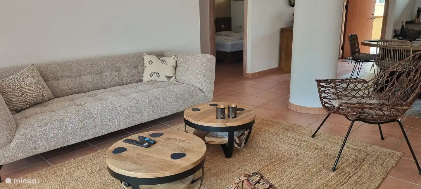 The beautiful spacious sofa in the spacious living room.