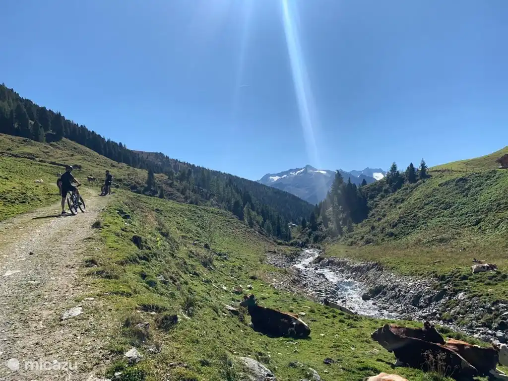 Prachtige omgeving om te mountainbiken of wandelen. 