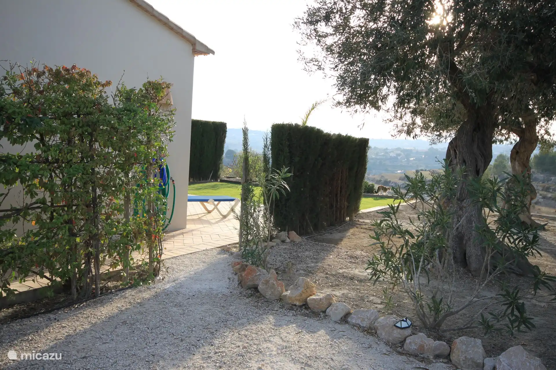 c'est du côté du studio, vous êtes en pleine nature : notamment des oliviers, des cyprès, des arbres tropicaux, etc.