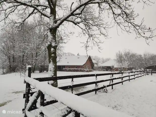 Hegeindse Hoeve | Pays-Bas, Brabant-Septentrional, Reusel-De Mierden - maison de vacances C'est aussi une photo en hiver
