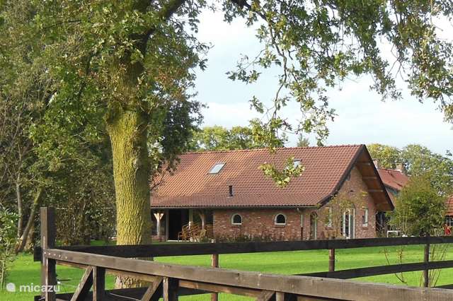 Vacation rental Netherlands, North Brabant, Reusel- de Mierden - holiday house B&amp;B Hegeindse Hoeve