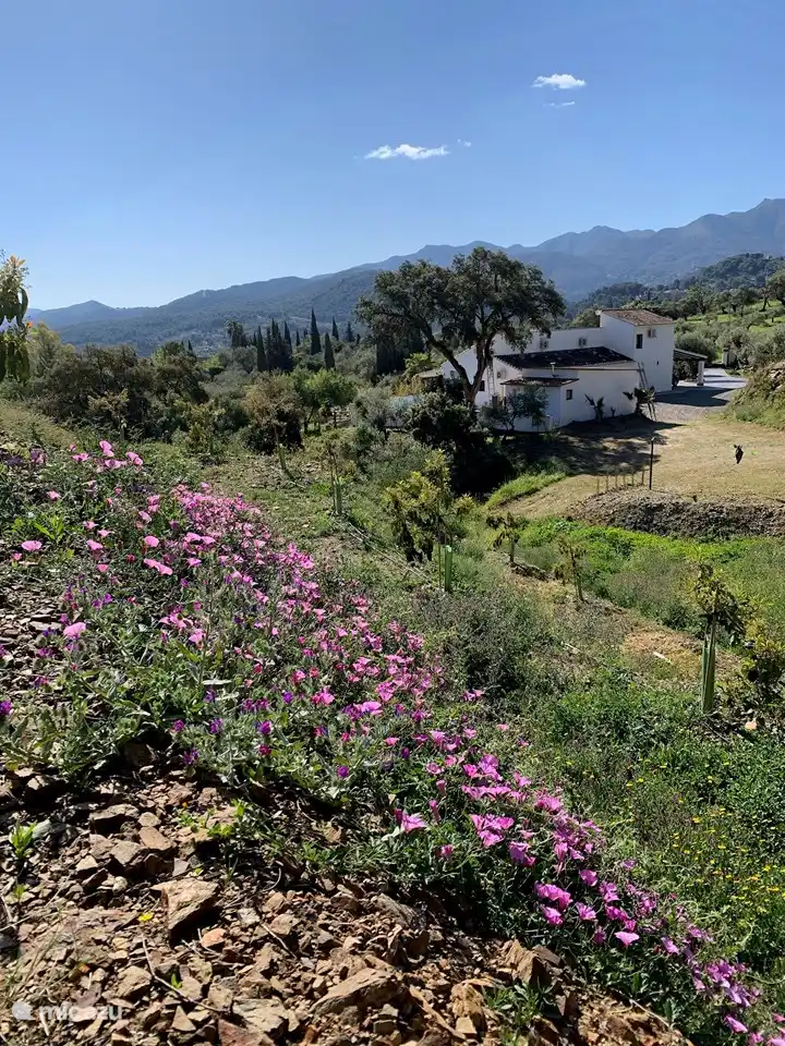 Schöner Spaziergang in unserem Garten