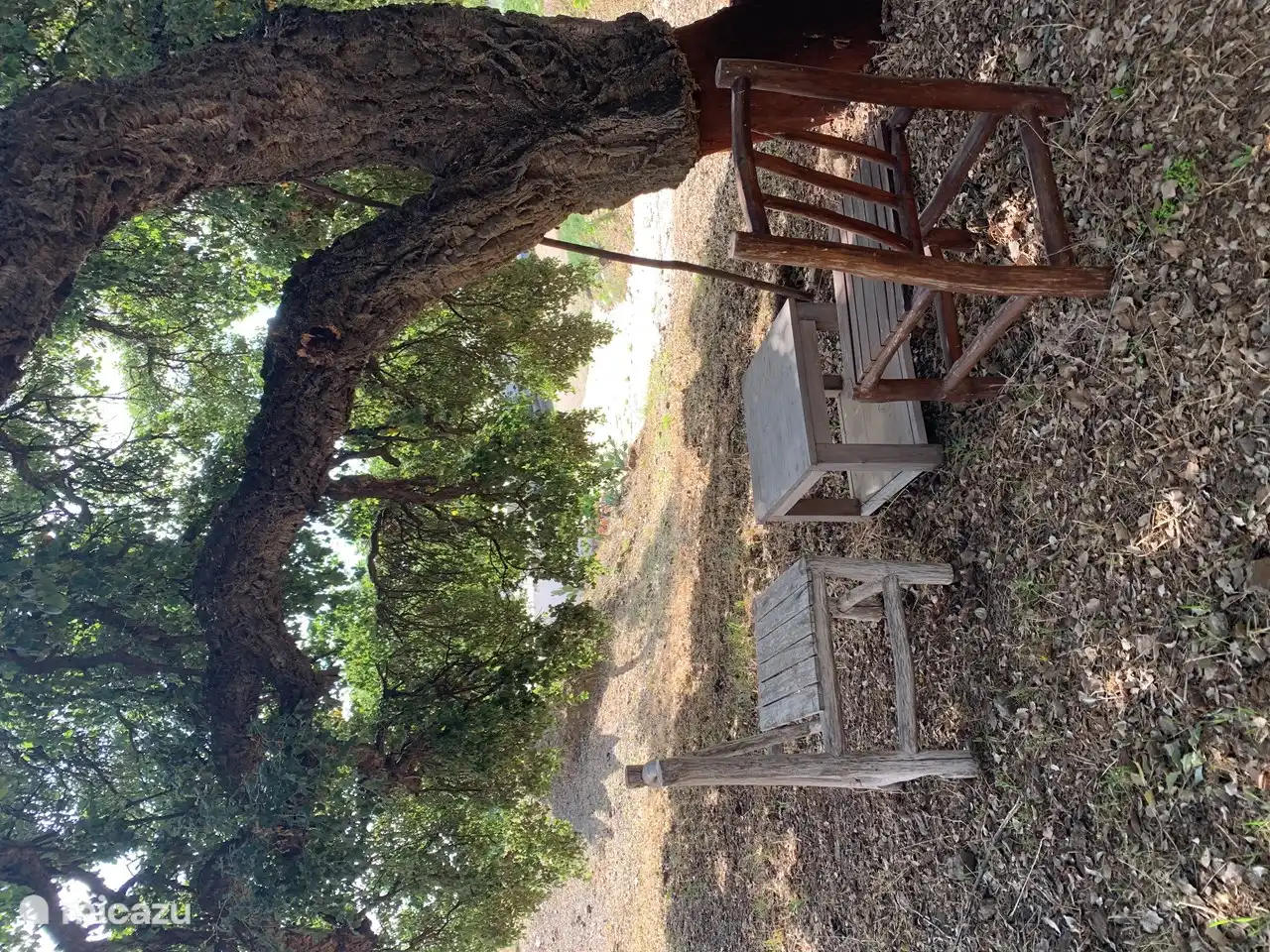 Setzen Sie sich unter die wunderschöne Korkeiche in unserem Garten.